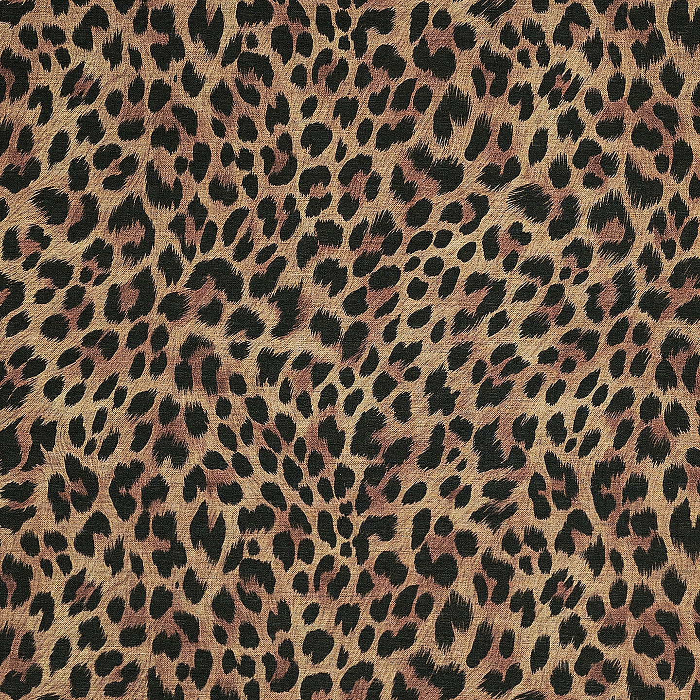 Purchase Phillip Jeffries Wallpaper - 26701, Wild Thing - Mocha Mane 