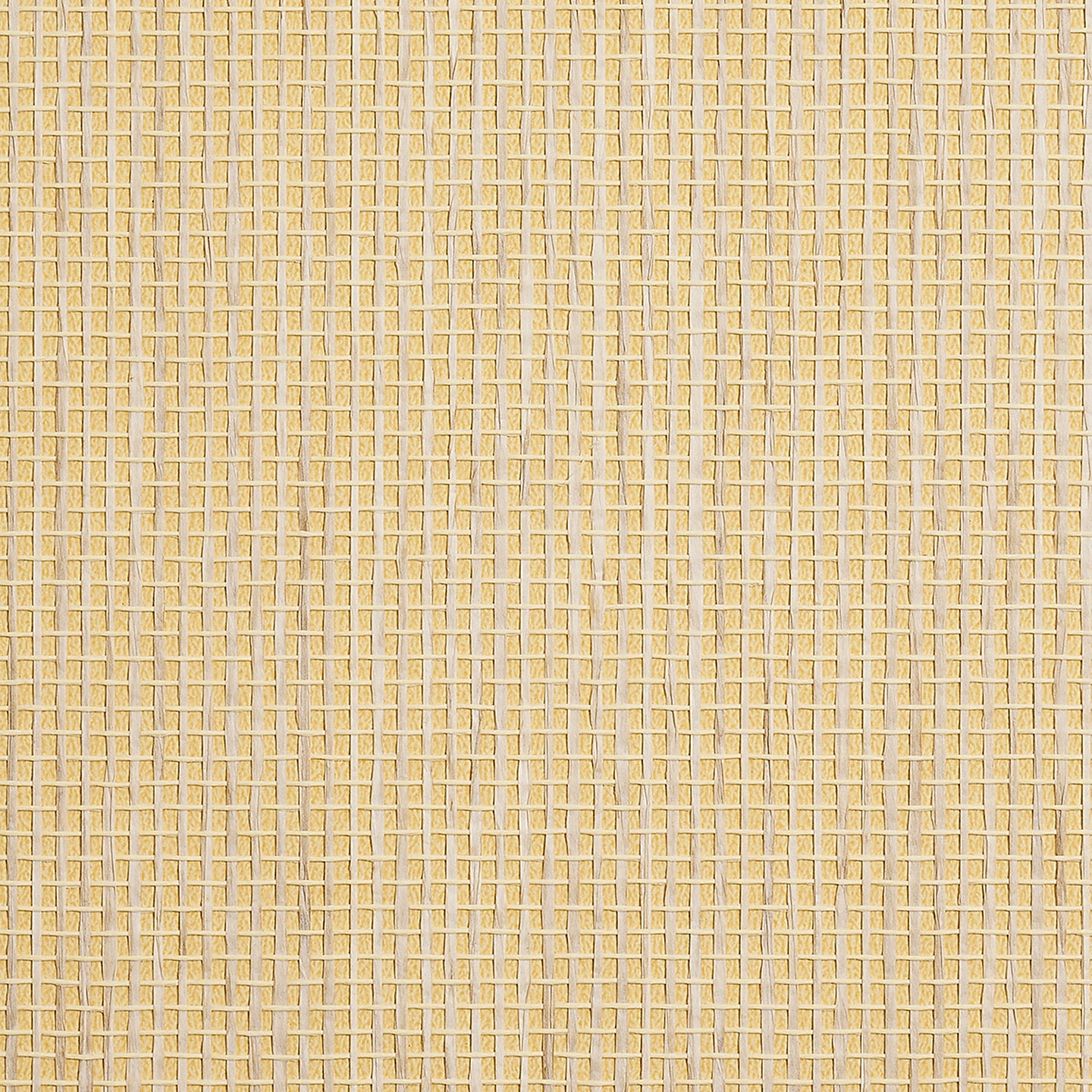 Purchase Phillip Jeffries Wallpaper - 9884, Coastal Weave - Midday Sun 