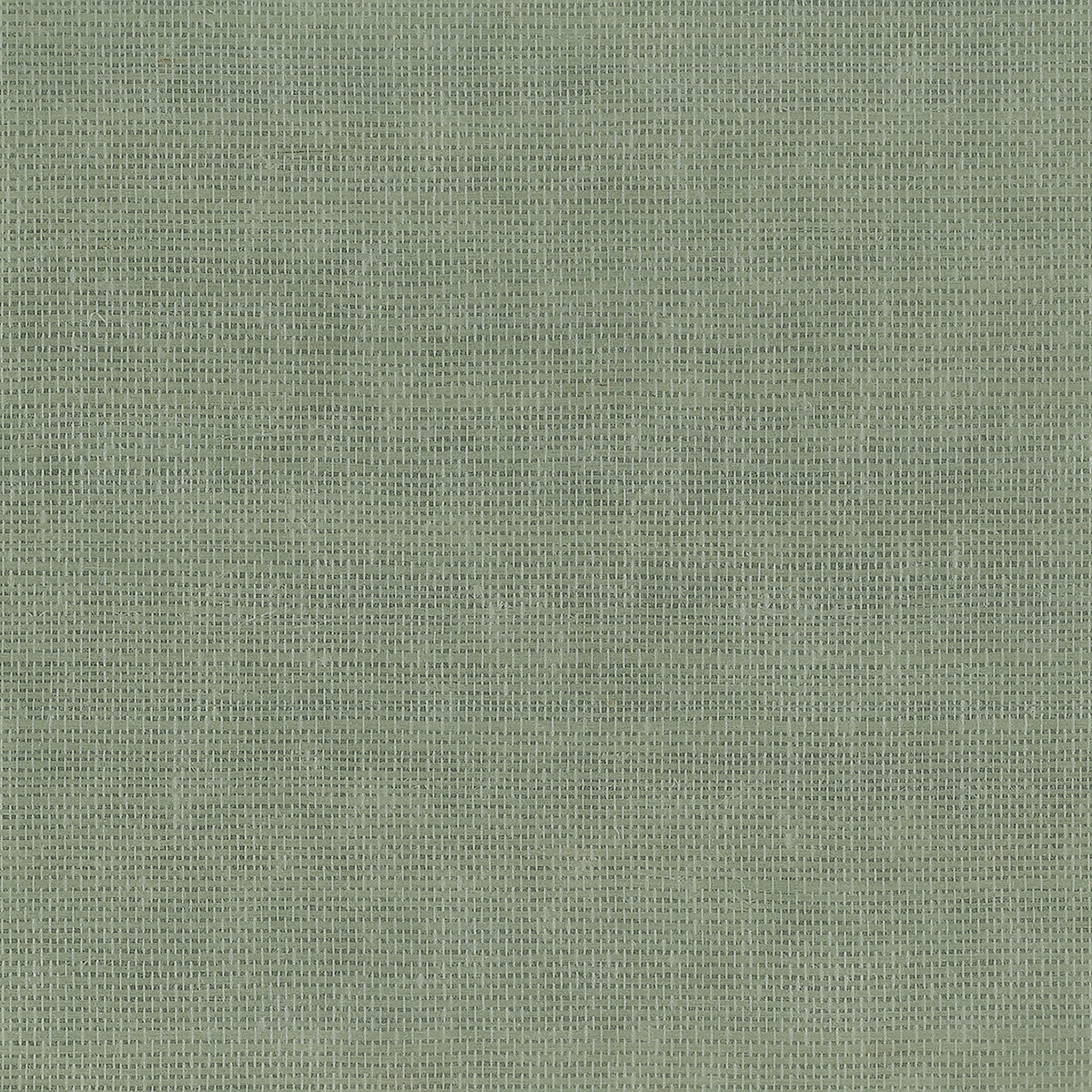 Purchase Phillip Jeffries Wallpaper - 37106, Glimmering Grass - Sage On Glam Grass