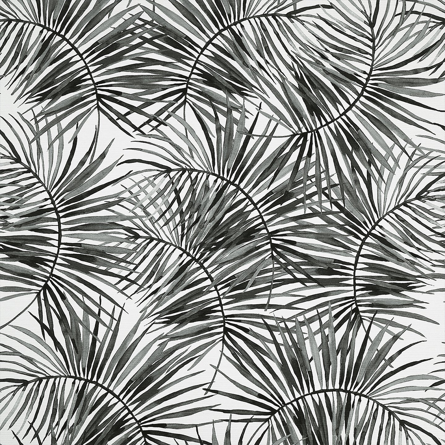 Purchase Phillip Jeffries Wallpaper - 10458, Island Time - Jungle Noir 