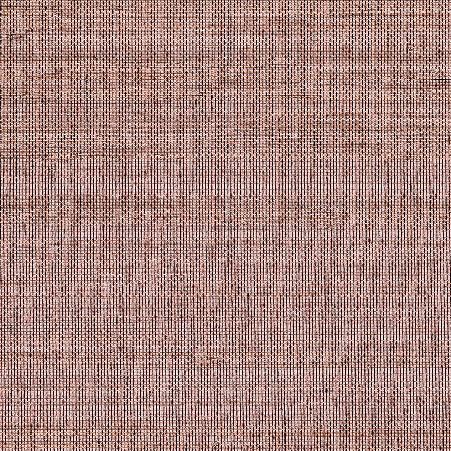 Purchase Phillip Jeffries Wallpaper - 10771, Horsehair - Palomino Pink 