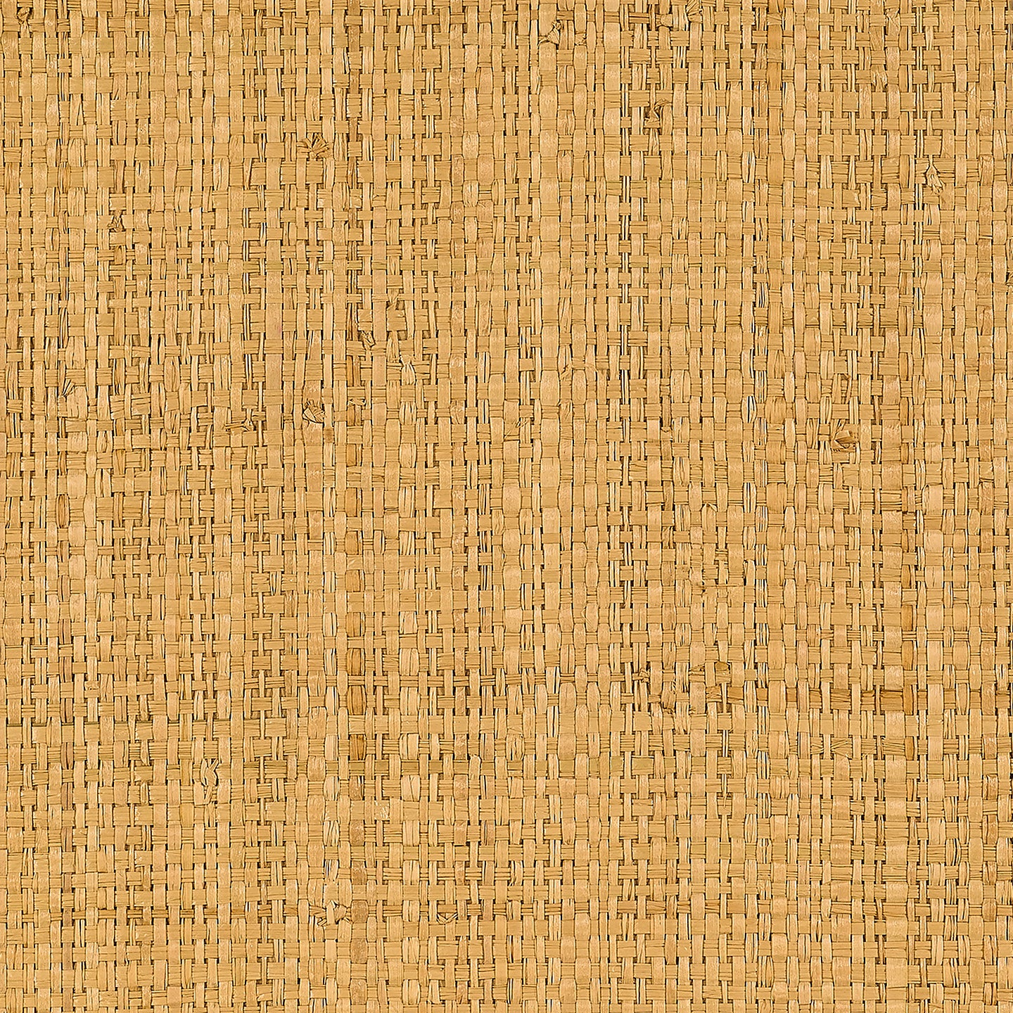 Purchase Phillip Jeffries Wallpaper - 31400, Capri Raffia - Golden Shoreline