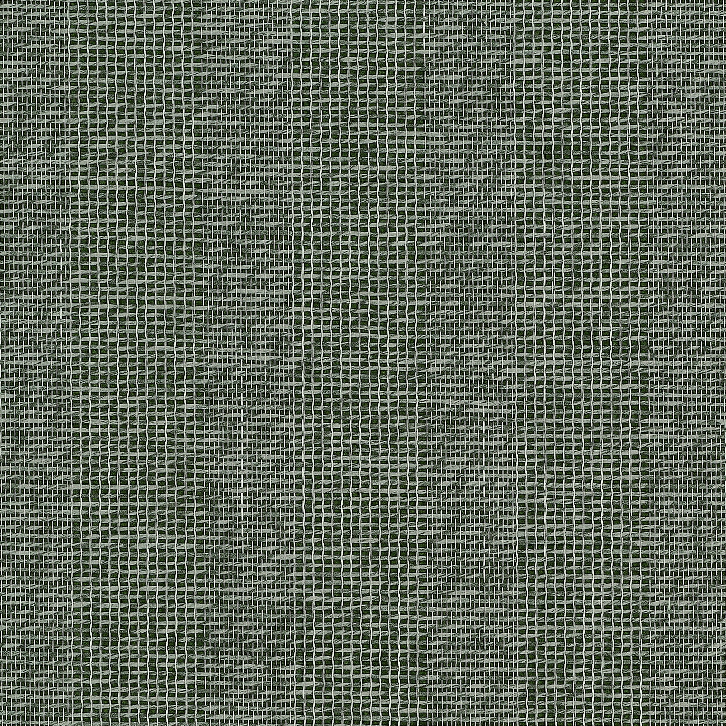 Purchase Phillip Jeffries Wallpaper - 38710, Cambridge Cloth - Pine 