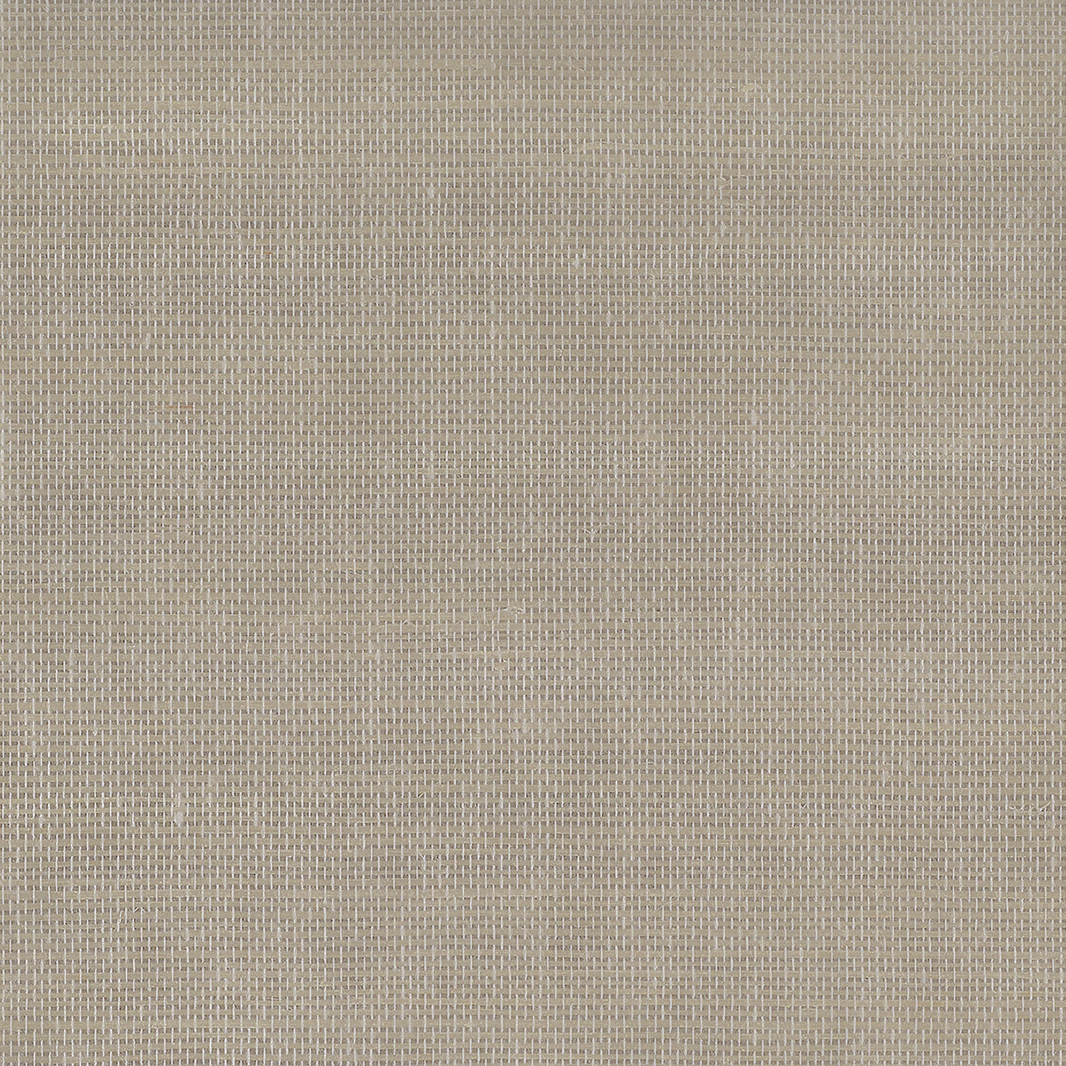 Purchase Phillip Jeffries Wallpaper - 37105, Glimmering Grass - Hushed On Glam Grass