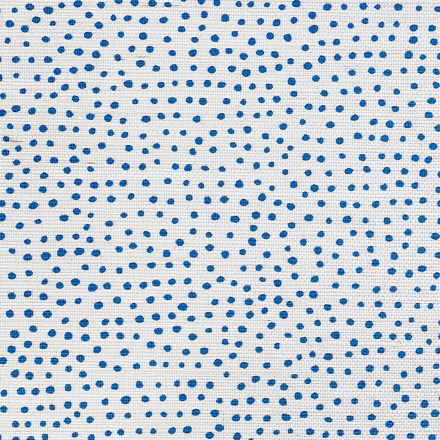 Purchase Phillip Jeffries Wallpaper - 10013, Droplets - White With Blue 