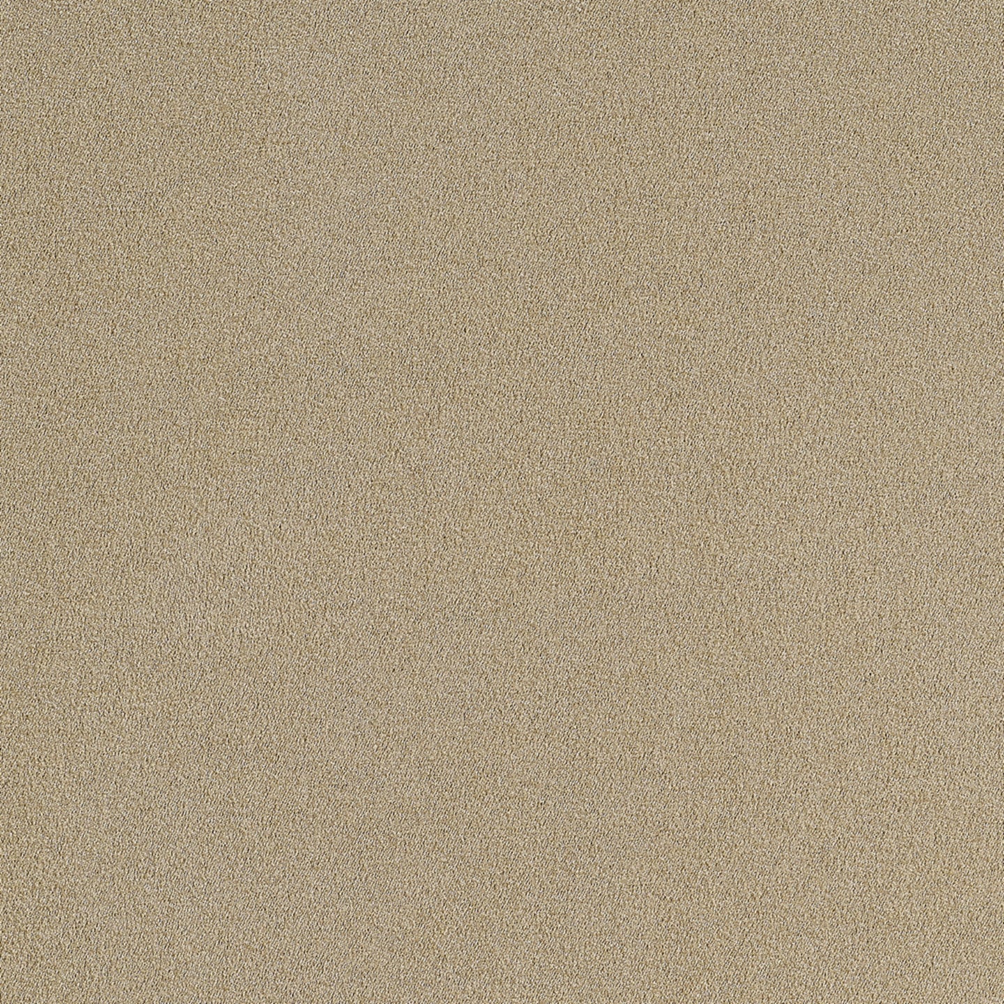 Purchase Phillip Jeffries Wallpaper - 10289, Suede Lounge - Grain 