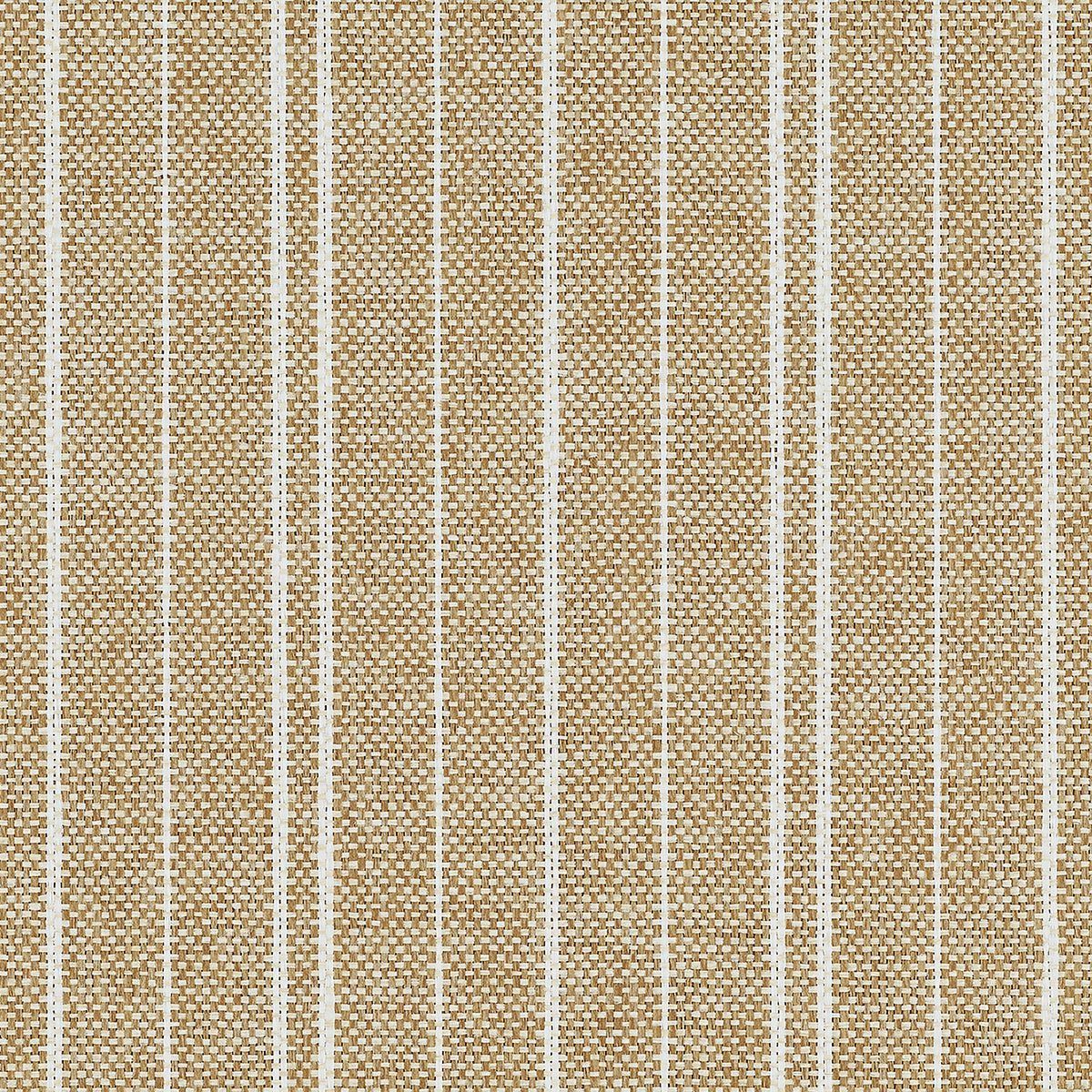 Purchase Phillip Jeffries Wallpaper - 43704, Madison Stripe - Soft Camel
