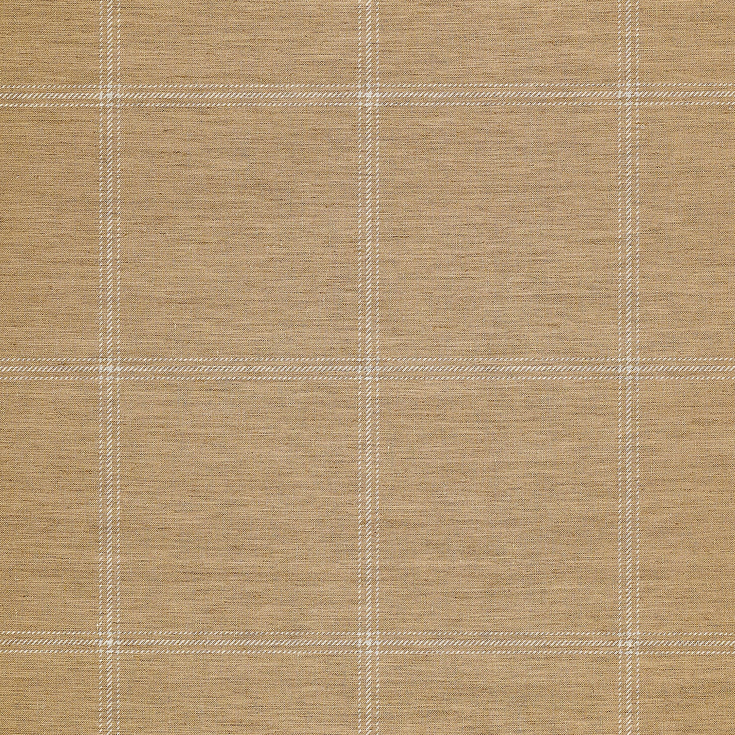 Purchase Phillip Jeffries Wallpaper - 10709, Jackson Plaid - White On Camel 