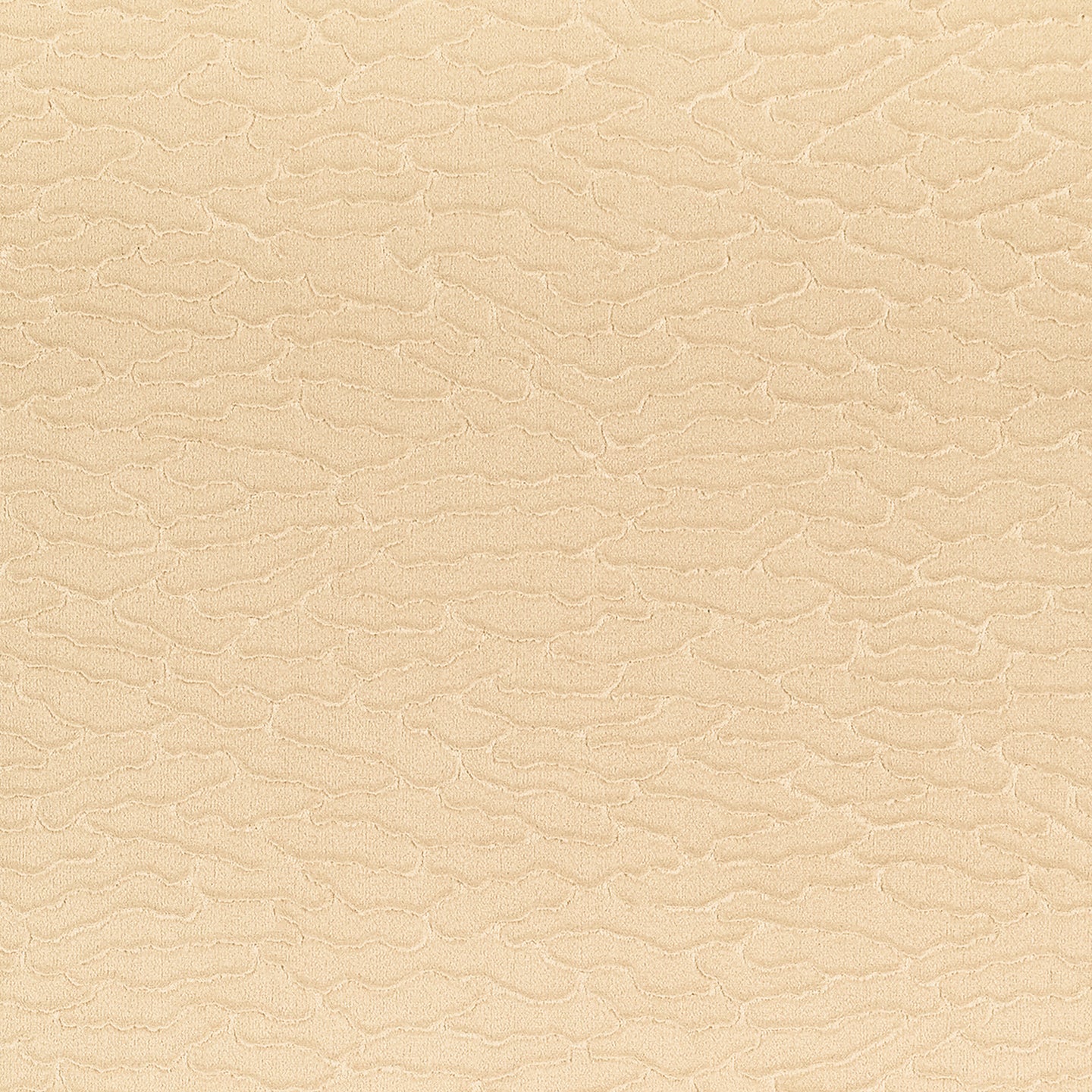 Purchase Phillip Jeffries Wallpaper - 36001, Velvet Dunes - Vanilla Haze