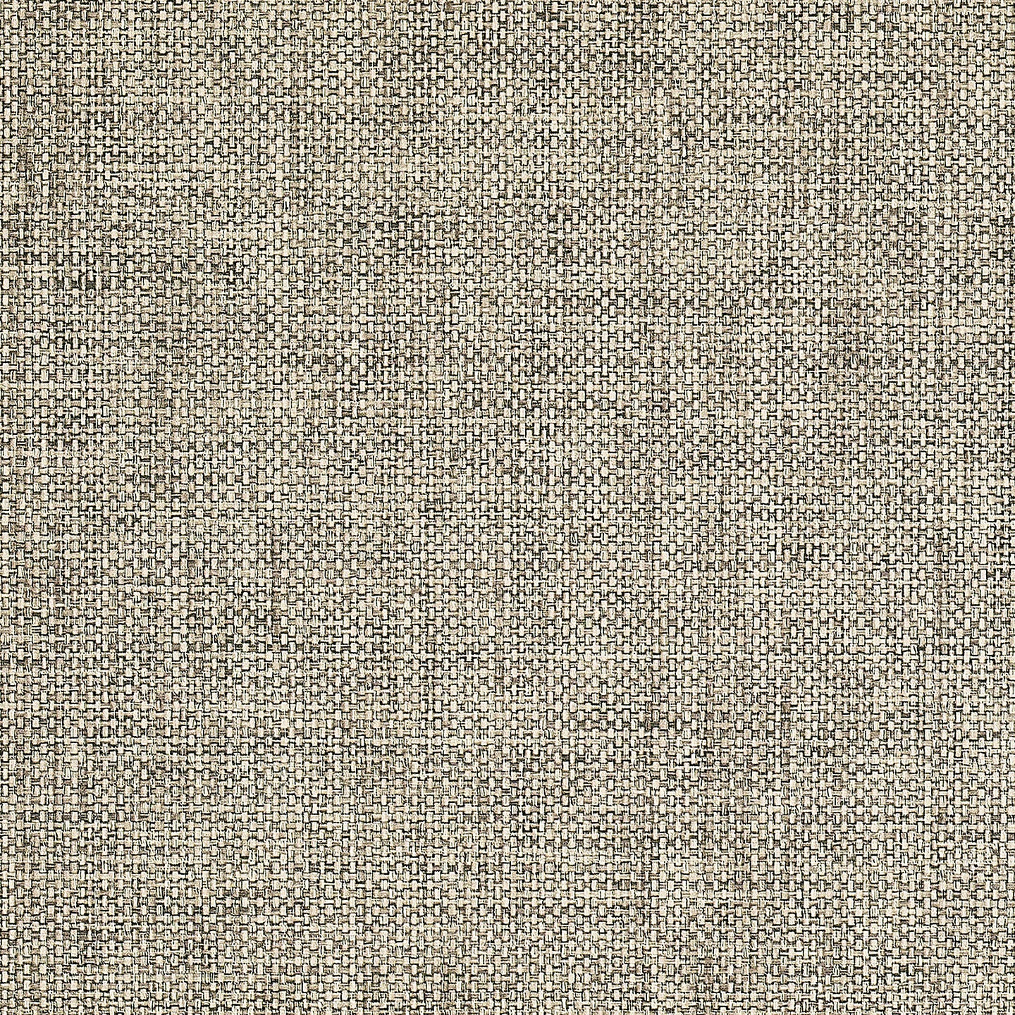 Purchase Phillip Jeffries Wallpaper - 9948, Vinyl All Wound Up - Tizzy Taupe 