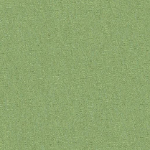 Sample JAG-50020-3003 Shots Tarragon Solid Brunschwig and Fils Fabric