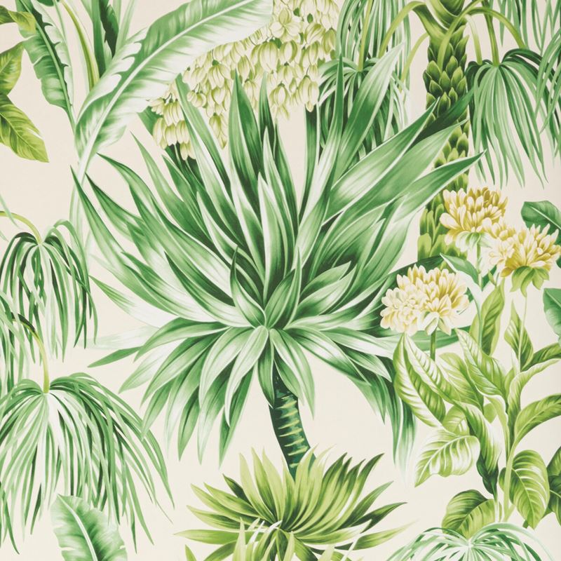 Sample P2020104.3034.0 Caluya Paper, Palm by Lee Jofa Wallpaper