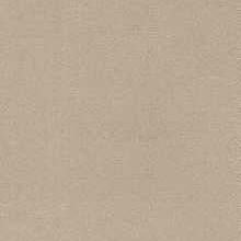 Sample ULTRASUEDE.1 OYSTER.0 Oyster by Kravet Design