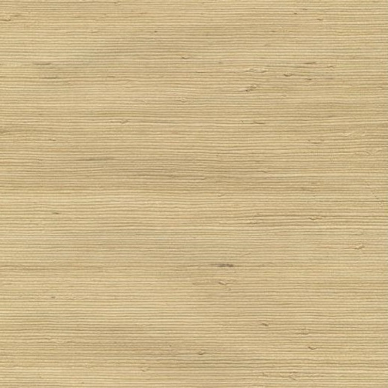 Sample W3038-404 Kravet Wallpaper