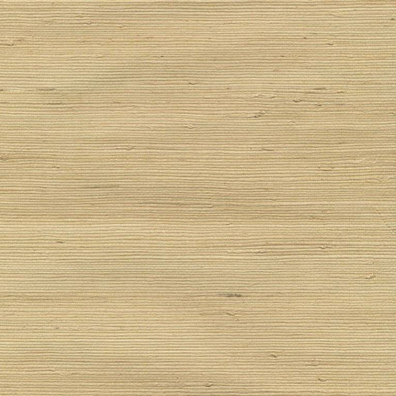 Sample W3201-404 Kravet Wallpaper