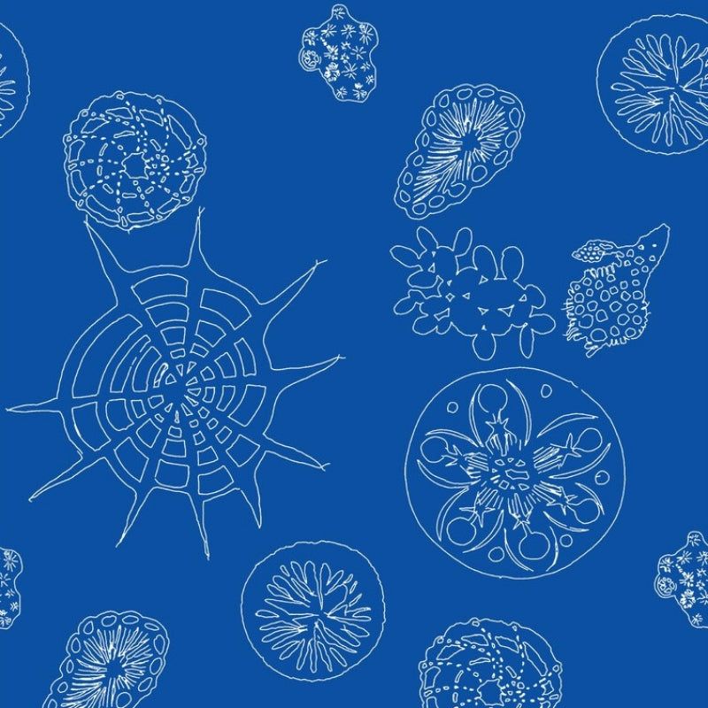 Sample W3585.5.0 Telescopic P, Nautics by Kravet Couture Wallpaper