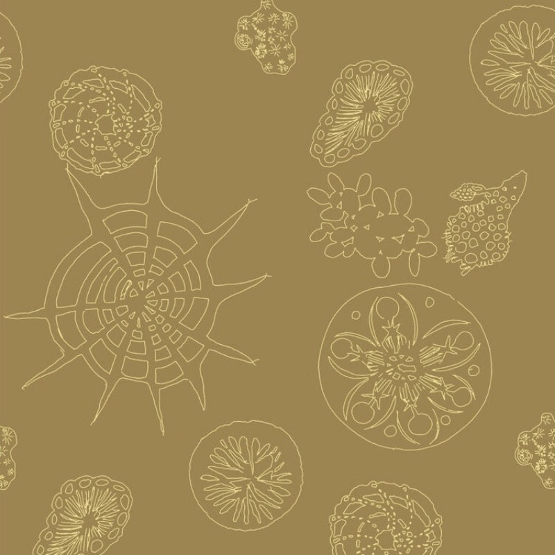 Sample W3585.616.0 Telescopic P, Sanddollar by Kravet Couture Wallpaper