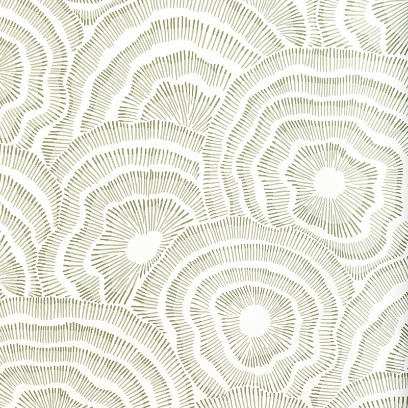 Sample W3823.123.0 Panache Wp, Leaf by Kravet Couture Wallpaper