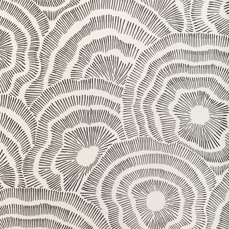 Sample W3823.81.0 Panache Wp, Noir by Kravet Couture Wallpaper