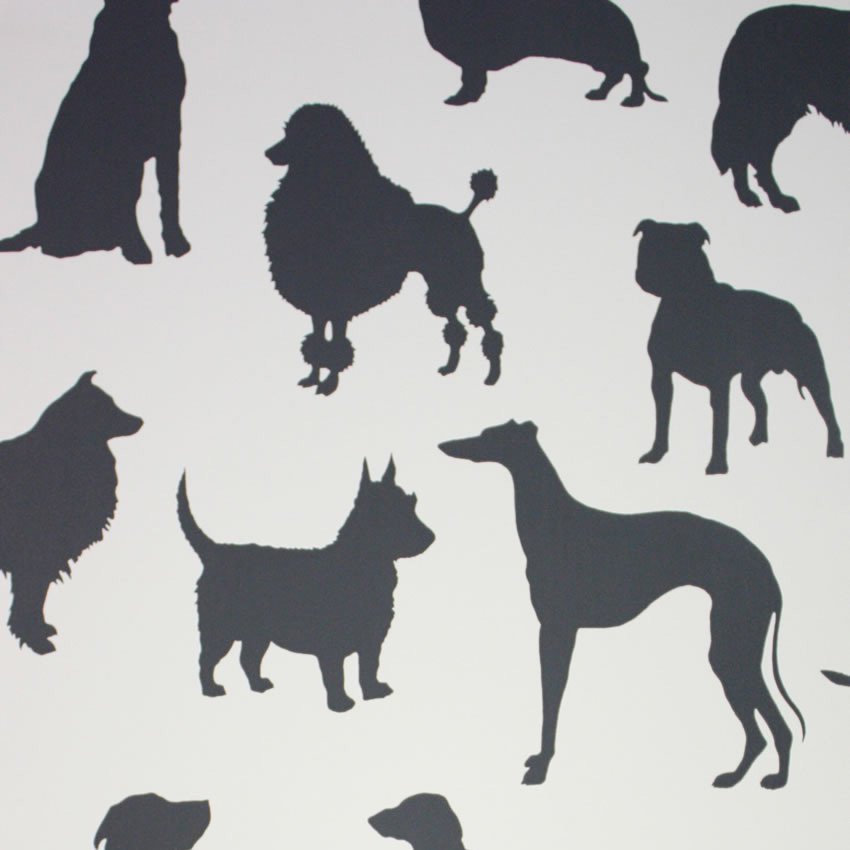 Purchase Sample Osborne and Little Best In Show Cream-Black W6181-03