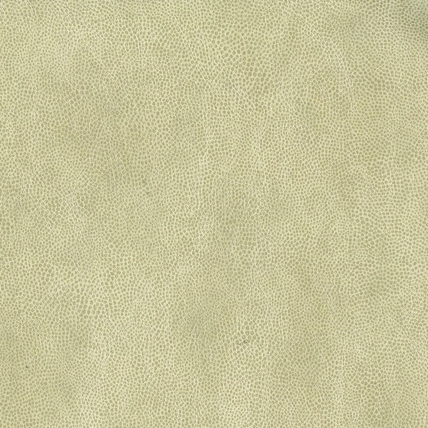 Purchase Sample Osborne and Little Mako W6331-02