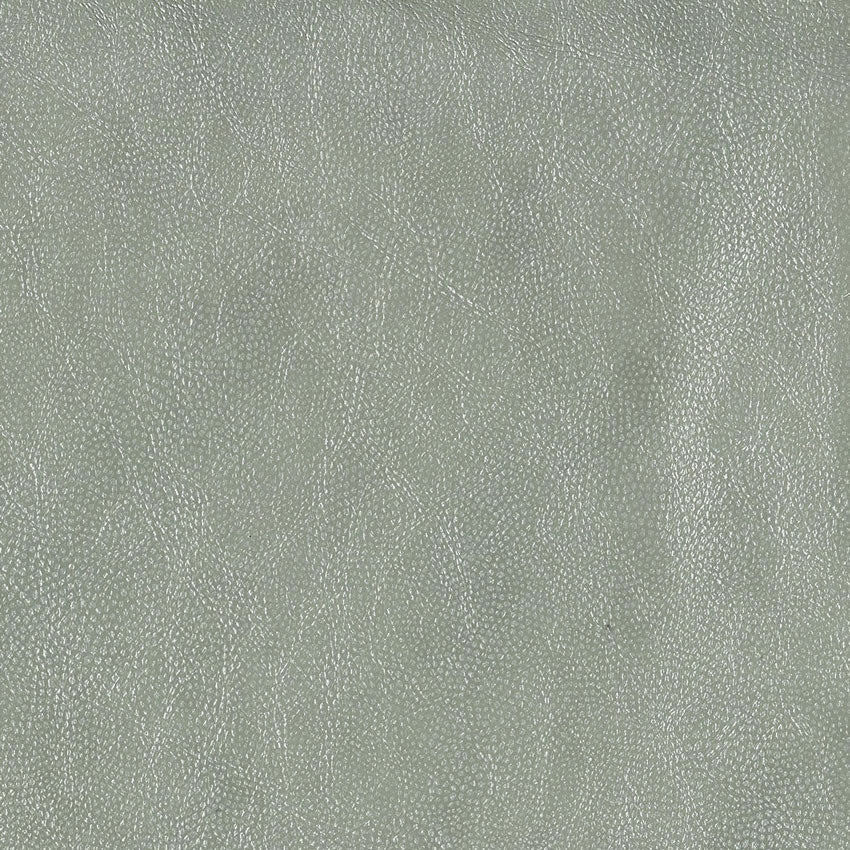 Purchase Sample Osborne and Little Mako W6331-04