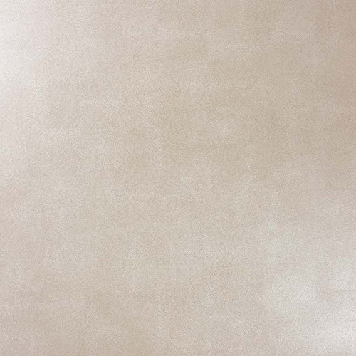Purchase Sample Osborne and Little Zingrina Pale Linen W6582-07