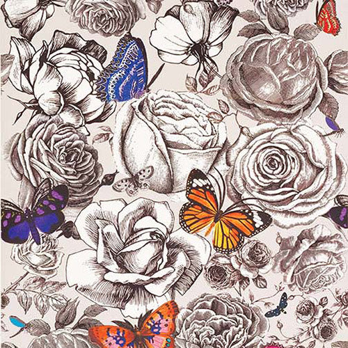 Looking W6592-01Osborne and Little Butterfly Garden W6592-01 Wallpaper