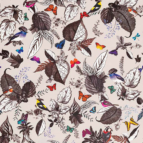 Find W6596-01Osborne and Little Bird Song W6596-01 Wallpaper