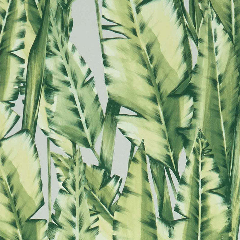 Purchase SKU W7333-02 pattern name & colorFolium Tiger Leaf Green Osborne & Little Wallpaper