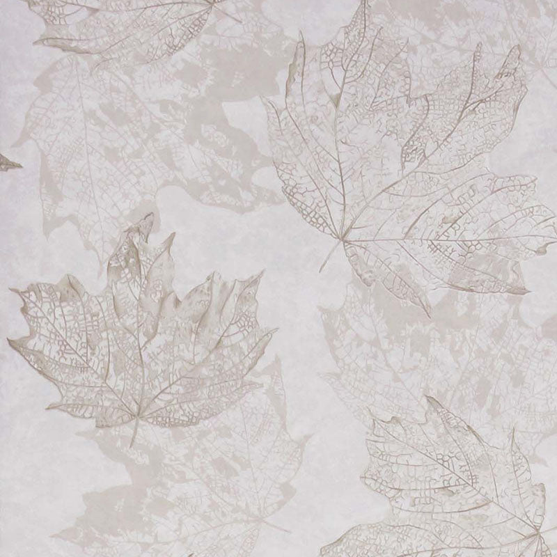 Purchase Sample - W7336-04 Folium Sycamore Stone/Pale Gold Osborne & Little Wallpaper