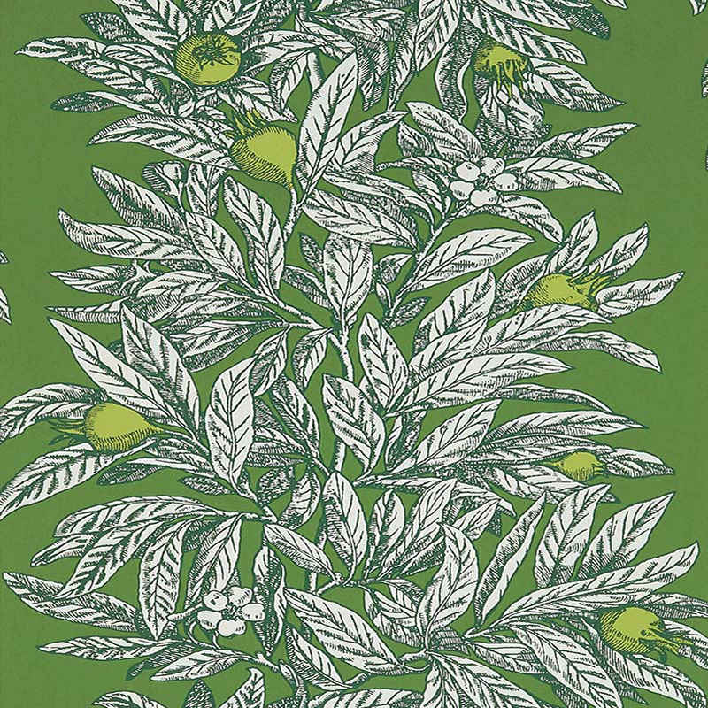 Purchase Product W7458-05 pattern name & colorMansfield Park Medlar Garden Green/Lime Osborne & Little Wallpaper