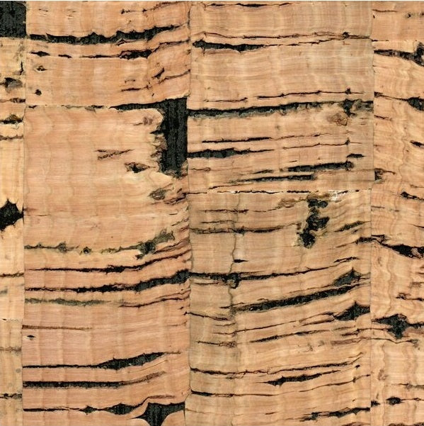 Sample WNR1167.WT.0 Gaudi Solid Winfield Thybony Wallpaper