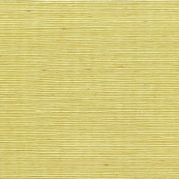 Sample WSS4526.WT.0 Sisal Lemon Zest Solid Winfield Thybony Wallpaper