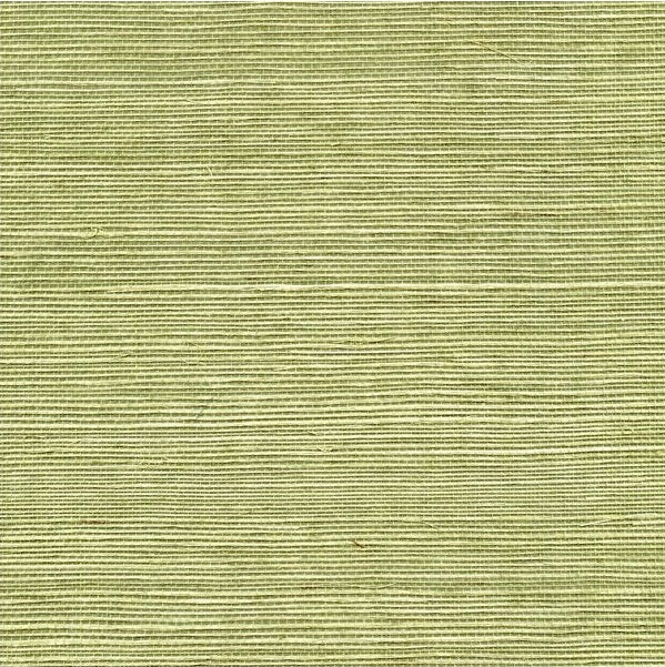 Sample WSS4530.WT.0 Sisal Pea Pod Solid Winfield Thybony Wallpaper