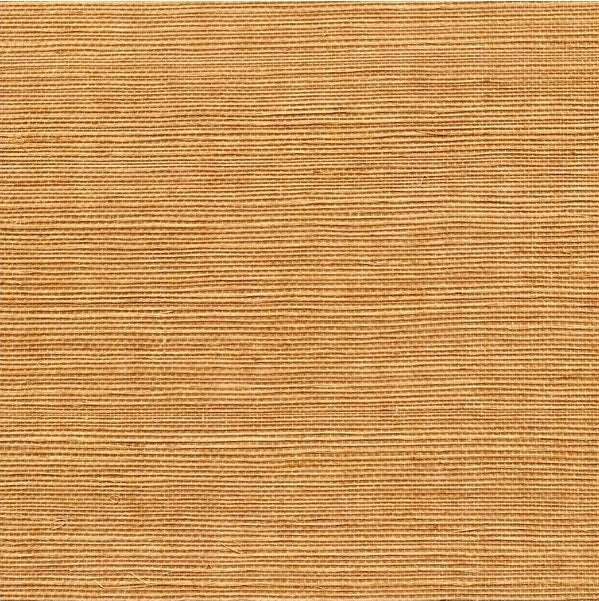Sample WSS4540.WT.0 Sisal Ecru Solid Winfield Thybony Wallpaper