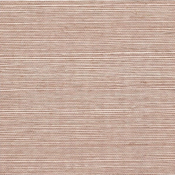 Sample WSS4554.WT.0 Sisal Umber Solid Winfield Thybony Wallpaper