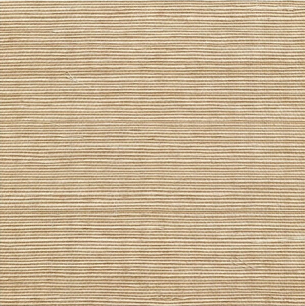 Sample WSS4557.WT.0 Sisal Moss Solid Winfield Thybony Wallpaper