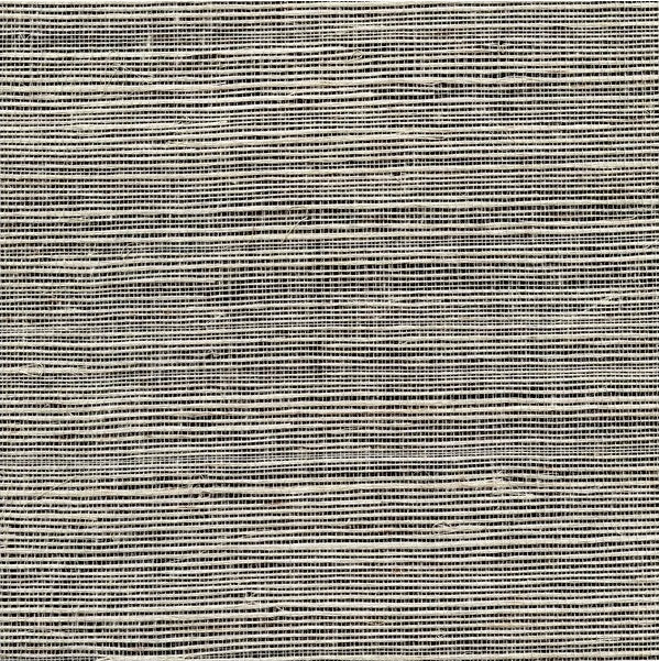 Sample WSS4576.WT.0 Metallic Sisal Shadow Special Effects Winfield Thybony Wallpaper