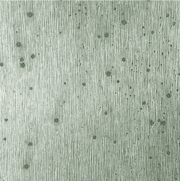 Sample WUE2041P.WT.0 Texturedfoil Special Effects Winfield Thybony Wallpaper