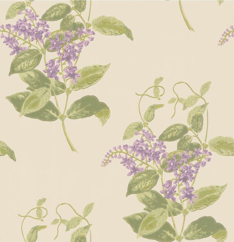 Find 100/12056 Cs Madras Violet Olive And Lavender By Cole and Son Wallpaper