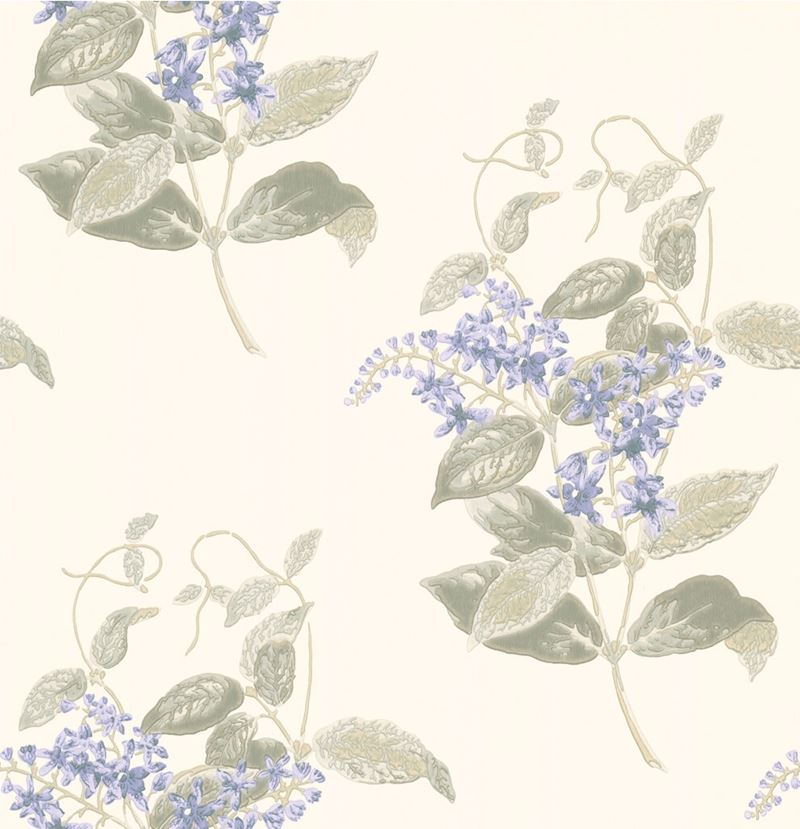 Looking for 100/12057 Cs Madras Violet Violet And Grey By Cole and Son Wallpaper