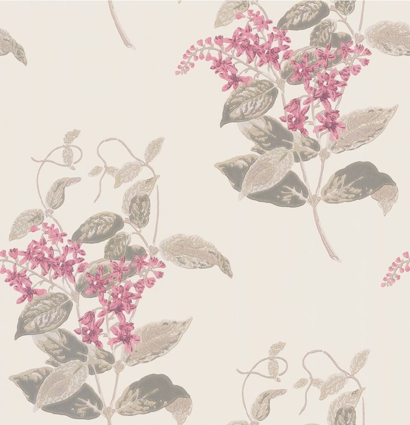 Order 100/12058 Cs Madras Violet Pink By Cole and Son Wallpaper