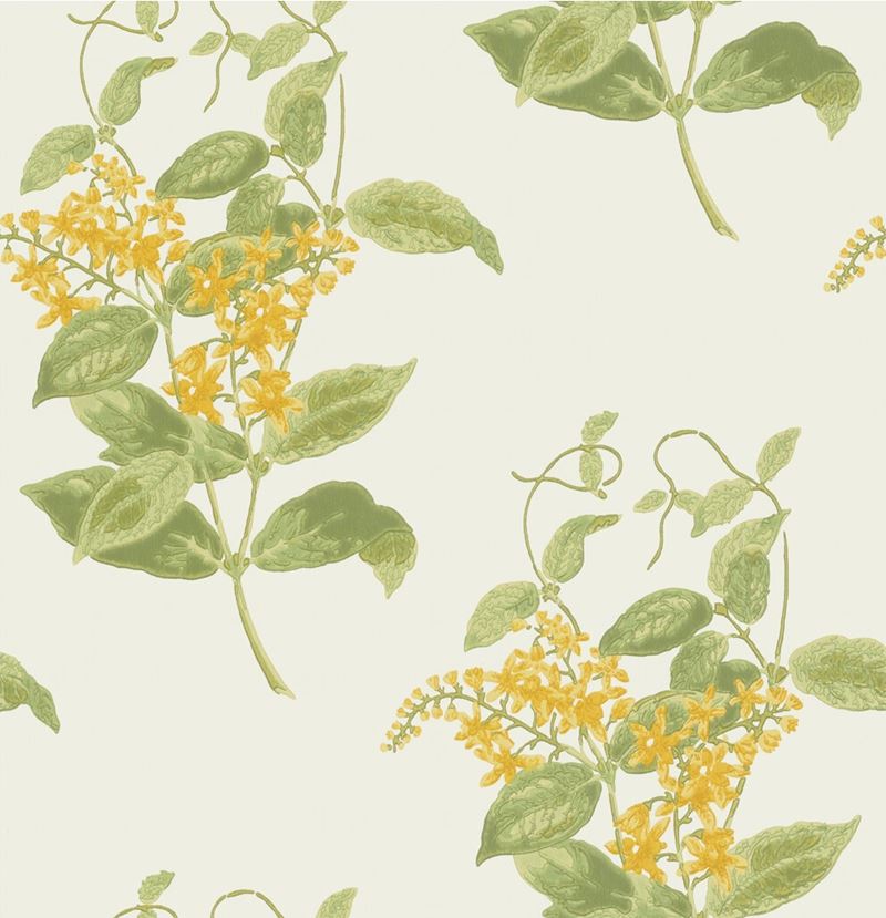 Save on 100/12059 Cs Madras Violet Yellow By Cole and Son Wallpaper