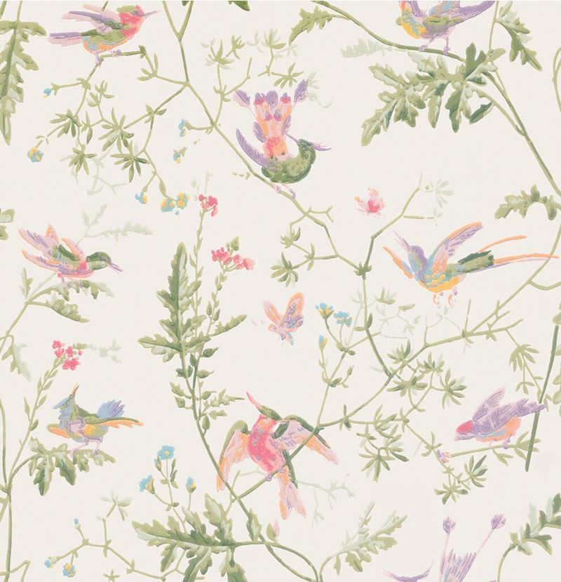 Find 100/14067 Cs Hummingbirds Soft Multi Colour By Cole and Son Wallpaper