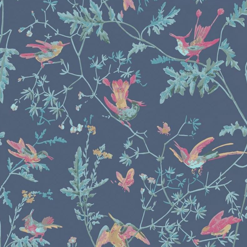 Looking for 100/14068 Cs Hummingbirds Indigo Multi Colour By Cole and Son Wallpaper