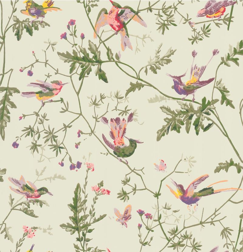 Save on 100/14070 Cs Hummingbirds Green Multi Colour By Cole and Son Wallpaper