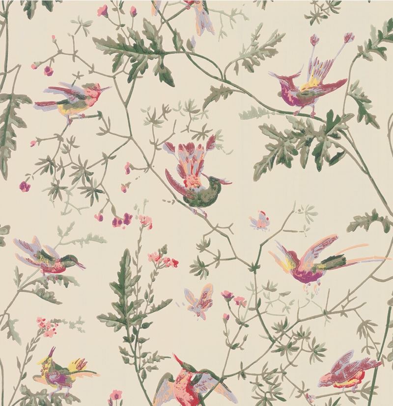 Acquire 100/14071 Cs Hummingbirds Original Multi Colour By Cole and Son Wallpaper
