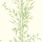 Select 100/5023 Cs Bamboo Green By Cole and Son Wallpaper