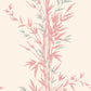 Purchase 100/5024 Cs Bamboo Pink By Cole and Son Wallpaper